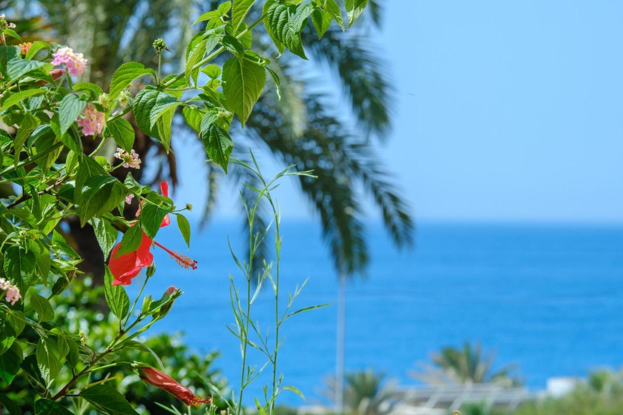 Beautiful Torreoceano 92, Pool, Beach Access Ла Кала де Михас Екстериор снимка